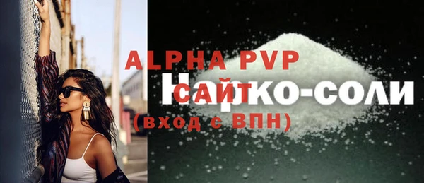 спиды Бородино