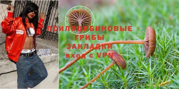 спиды Бородино