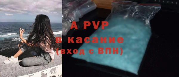 спиды Бородино