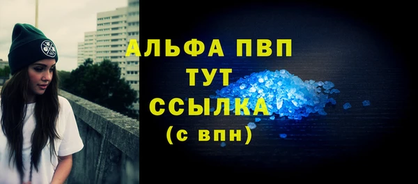 спиды Бородино