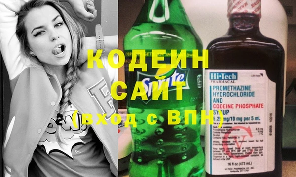 спиды Бородино