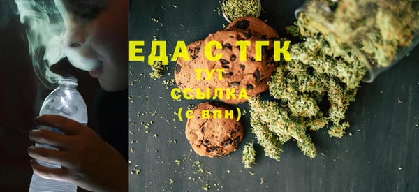 спиды Бородино