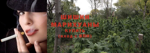 спиды Бородино