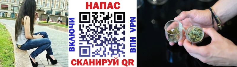Каннабис White Widow Махачкала